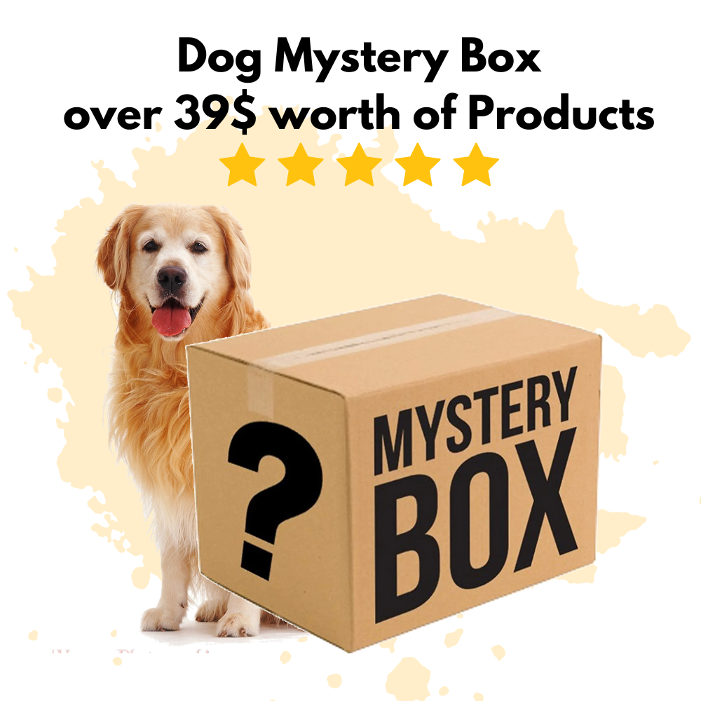 Dog hot sale mystery box