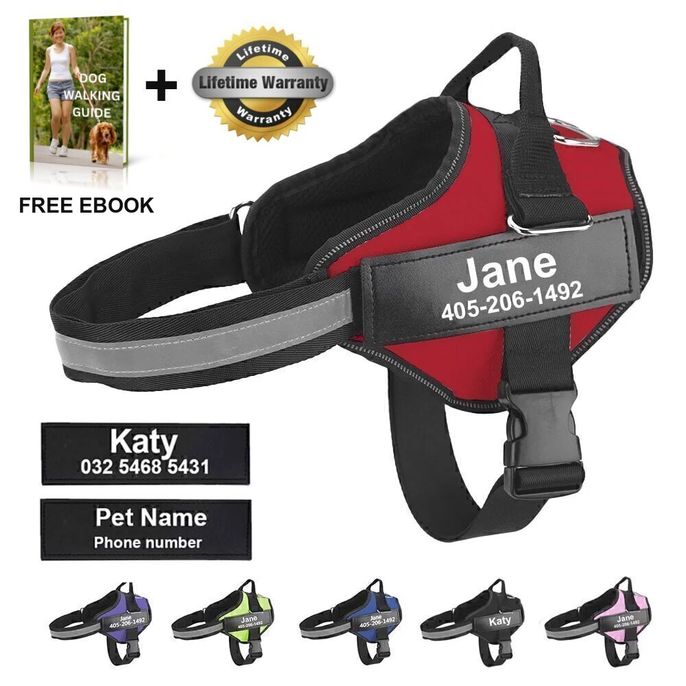 The Personalized NO PULL Harness (FREE TODAY) Formydoggy