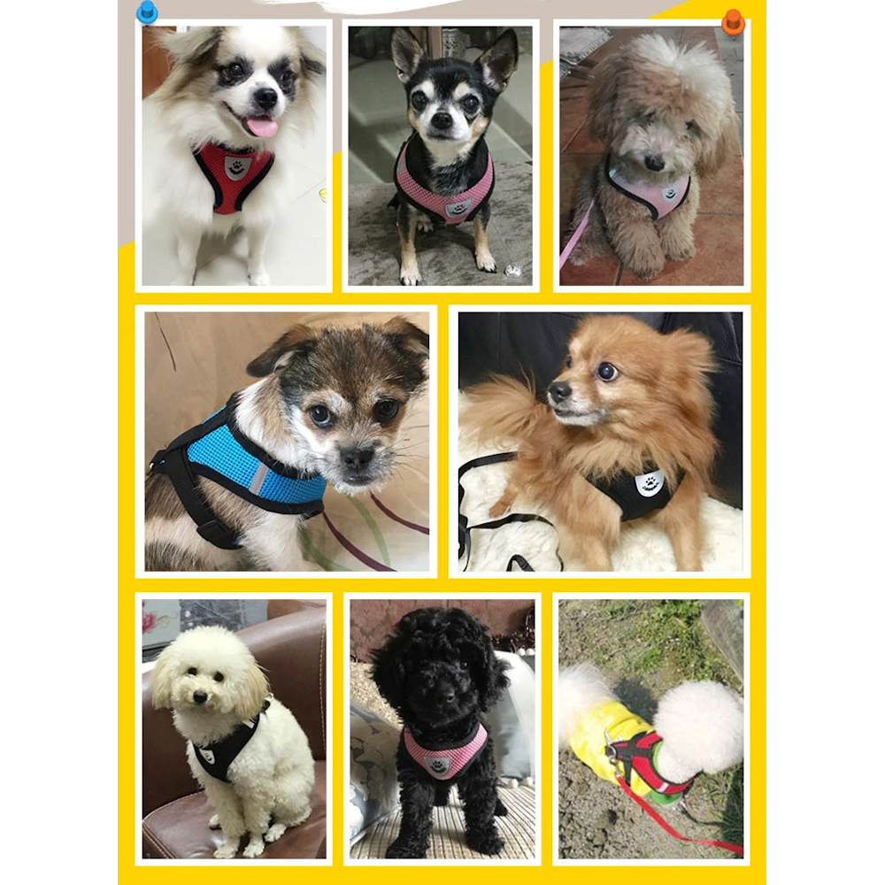 Puglife sales harness tracking